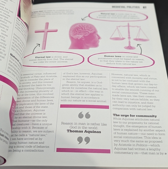 The Politics Book -‎ Big Ideas Simply Explained - Picture 8 of 12